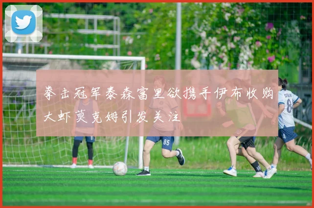 拳击冠军泰森富里欲携手伊布收购大虾莫克姆引发关注